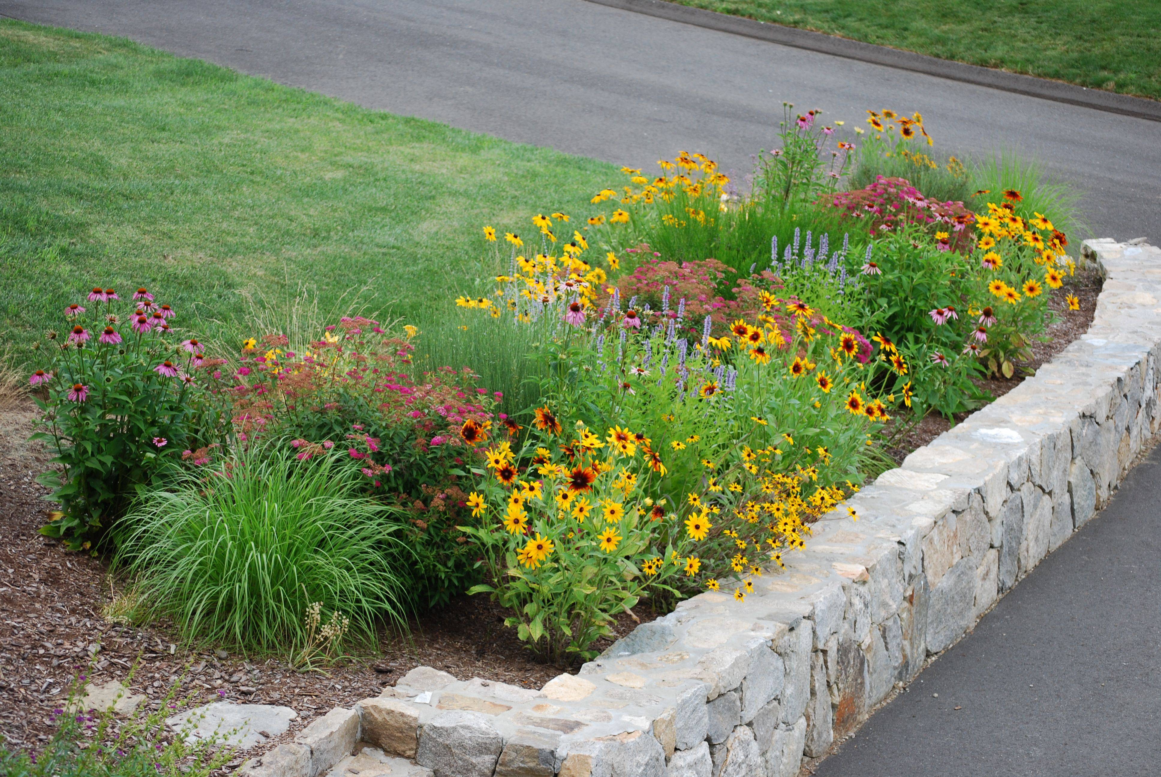 Perennial Gardening Hgtv