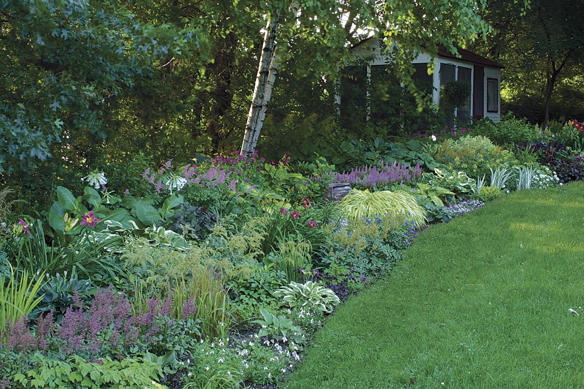 Garden Designs Foundation Shrubs