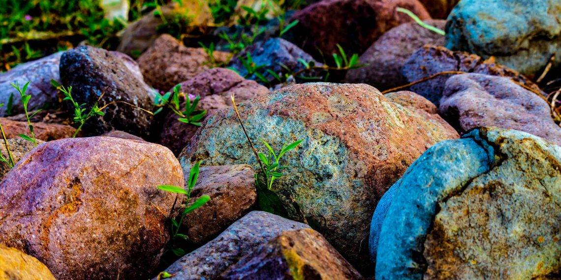 Best Small Flower Garden Ideas