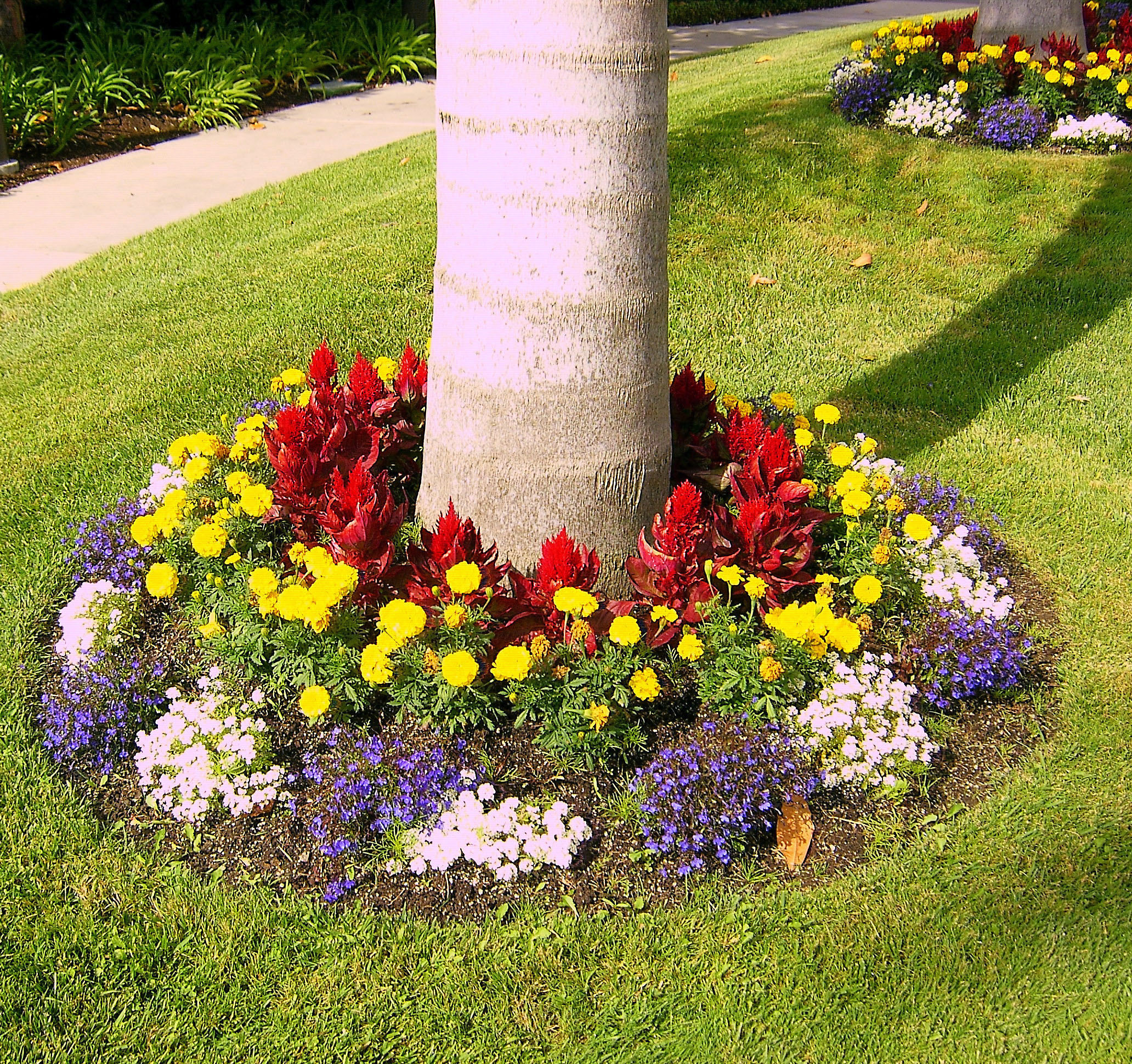 Fantastic Terraced Flower Garden Ideas