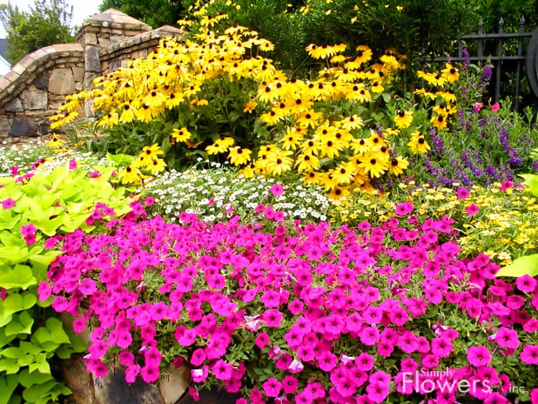 Cute Colorful Flowers Pots Design Patio