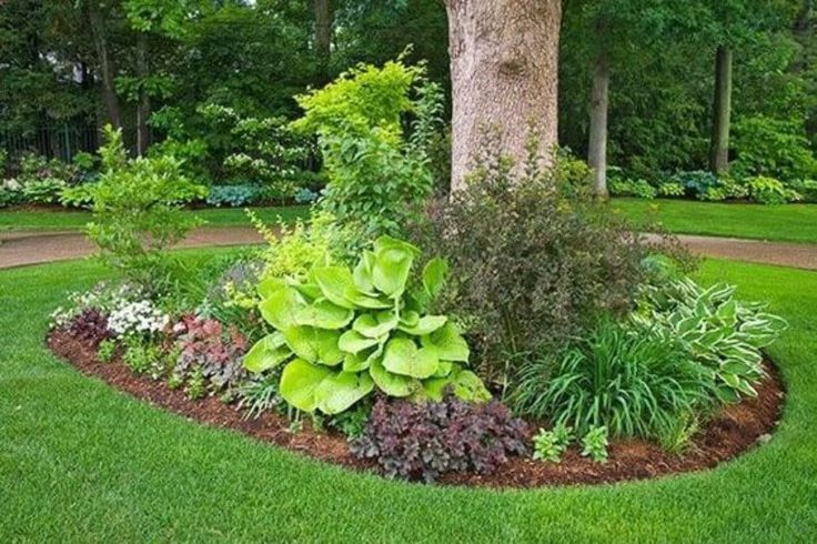 The Best Tree Ring Landscaping Ideas