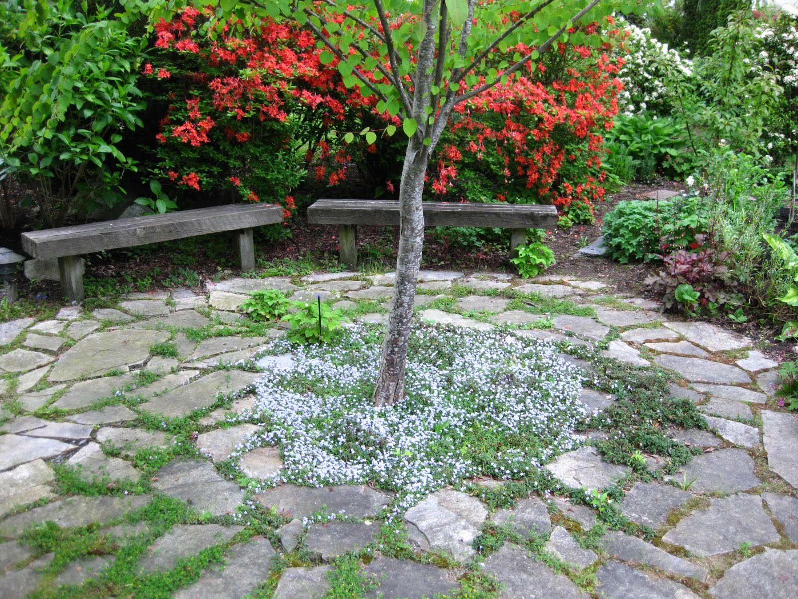 A Tree Garden Design