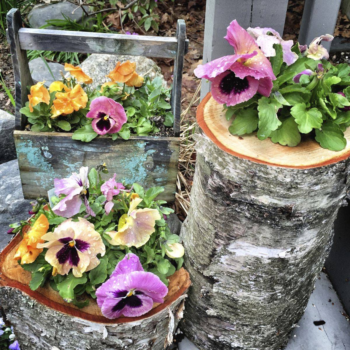 Unusual And Upcycled Container Gardens Diy Garden Projects