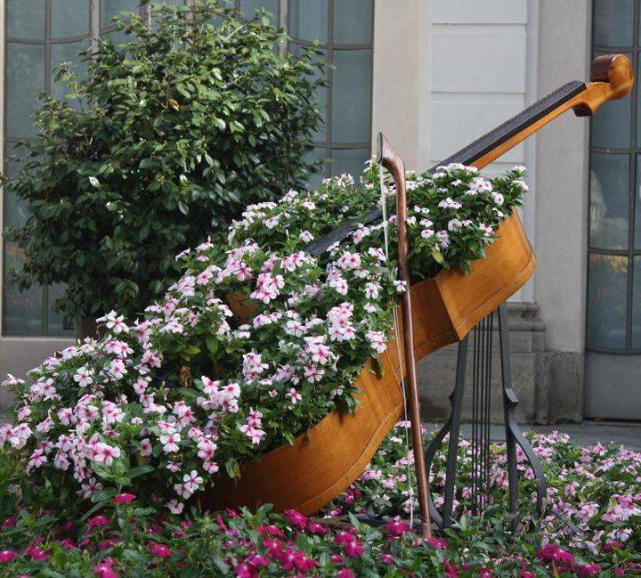 Recycled Container Gardening Ideas