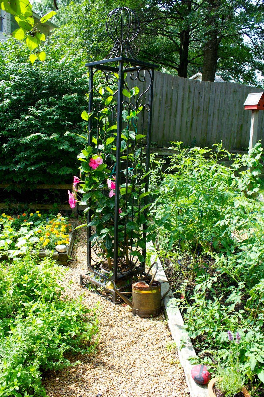Beautiful And Functional Trellis Ideas