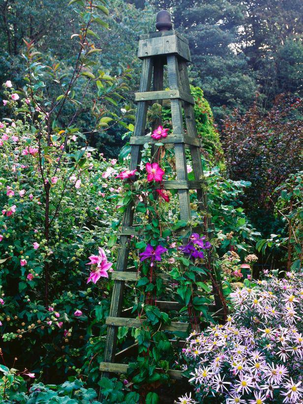 Creative And Easy Diy Trellis Ideas