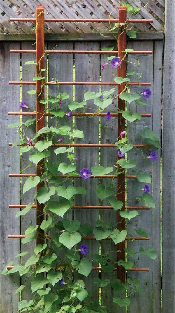 Wonderful Diy Trellises