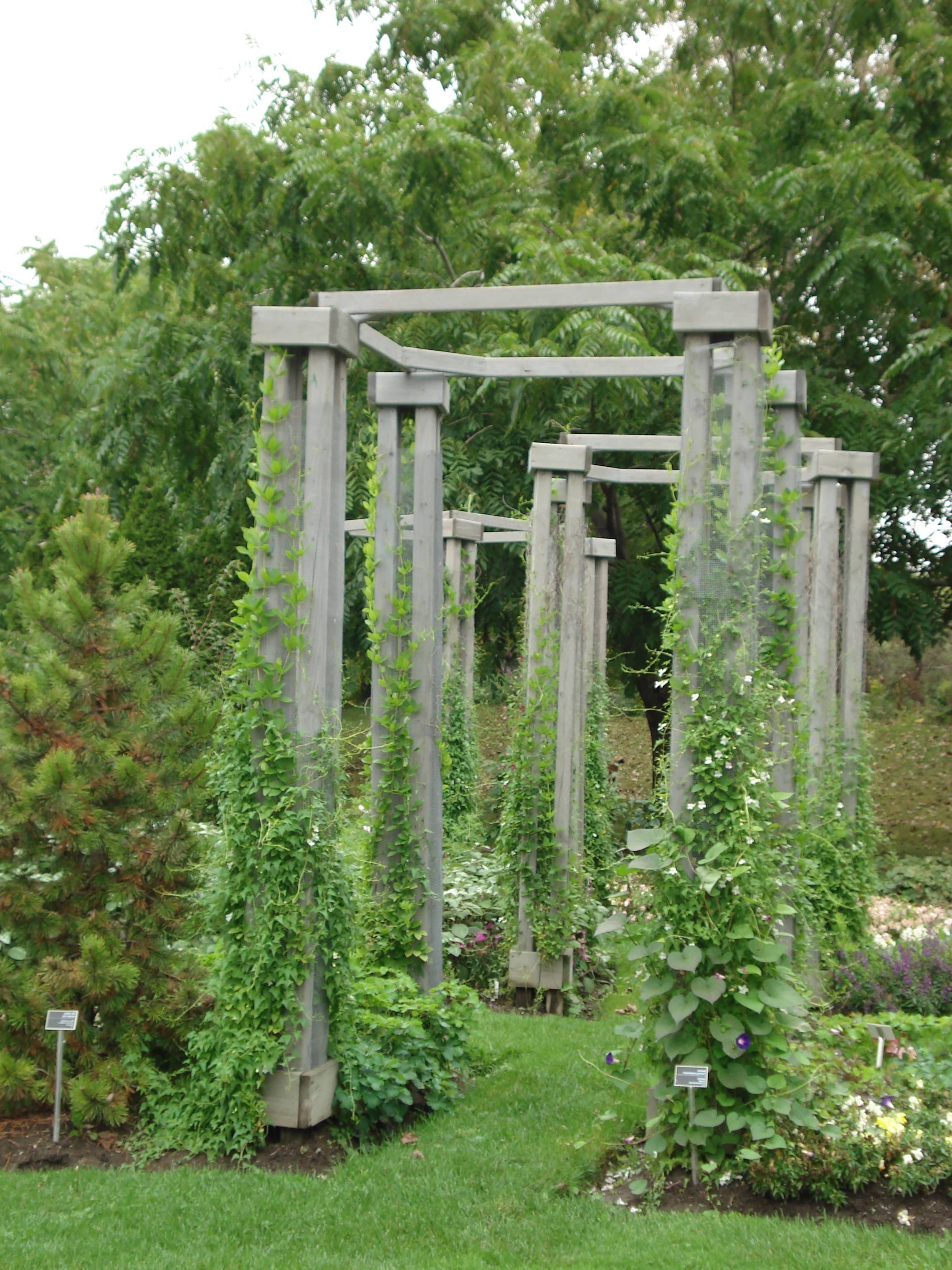 Garden Trellis Ideas