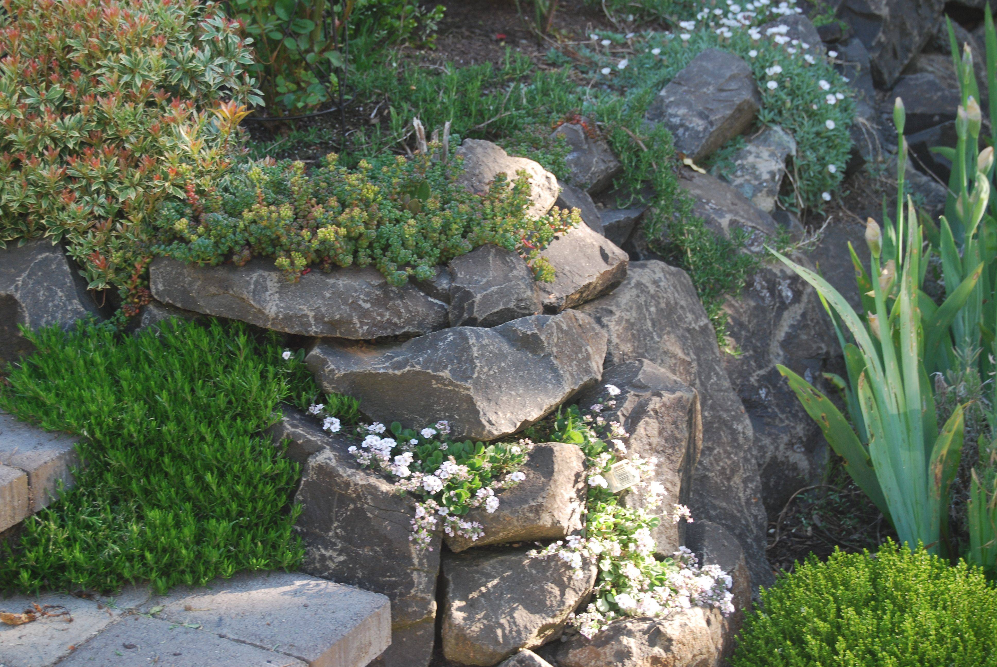 Rock Wall Garden Designs