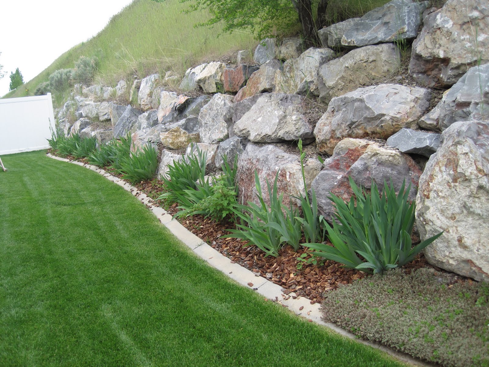 Mulching Problem Rock Garden