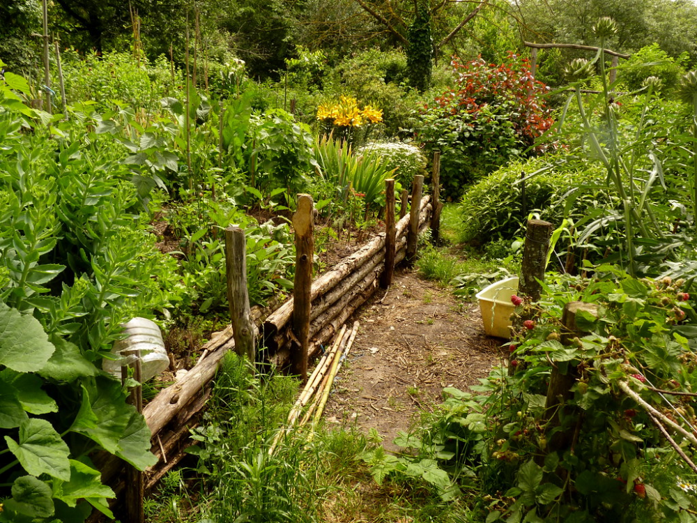 Farmhouse Garden