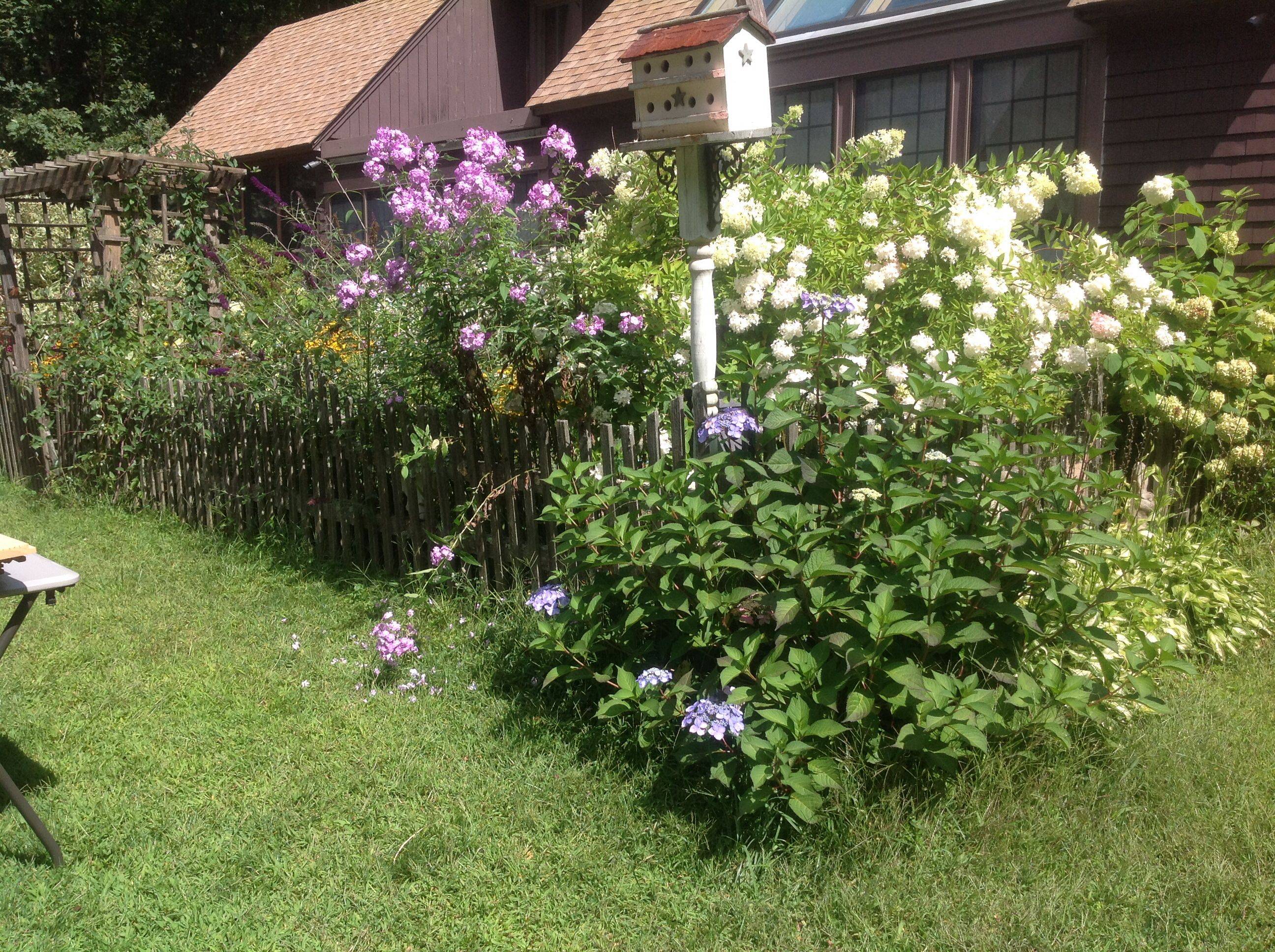 My Messy Garden