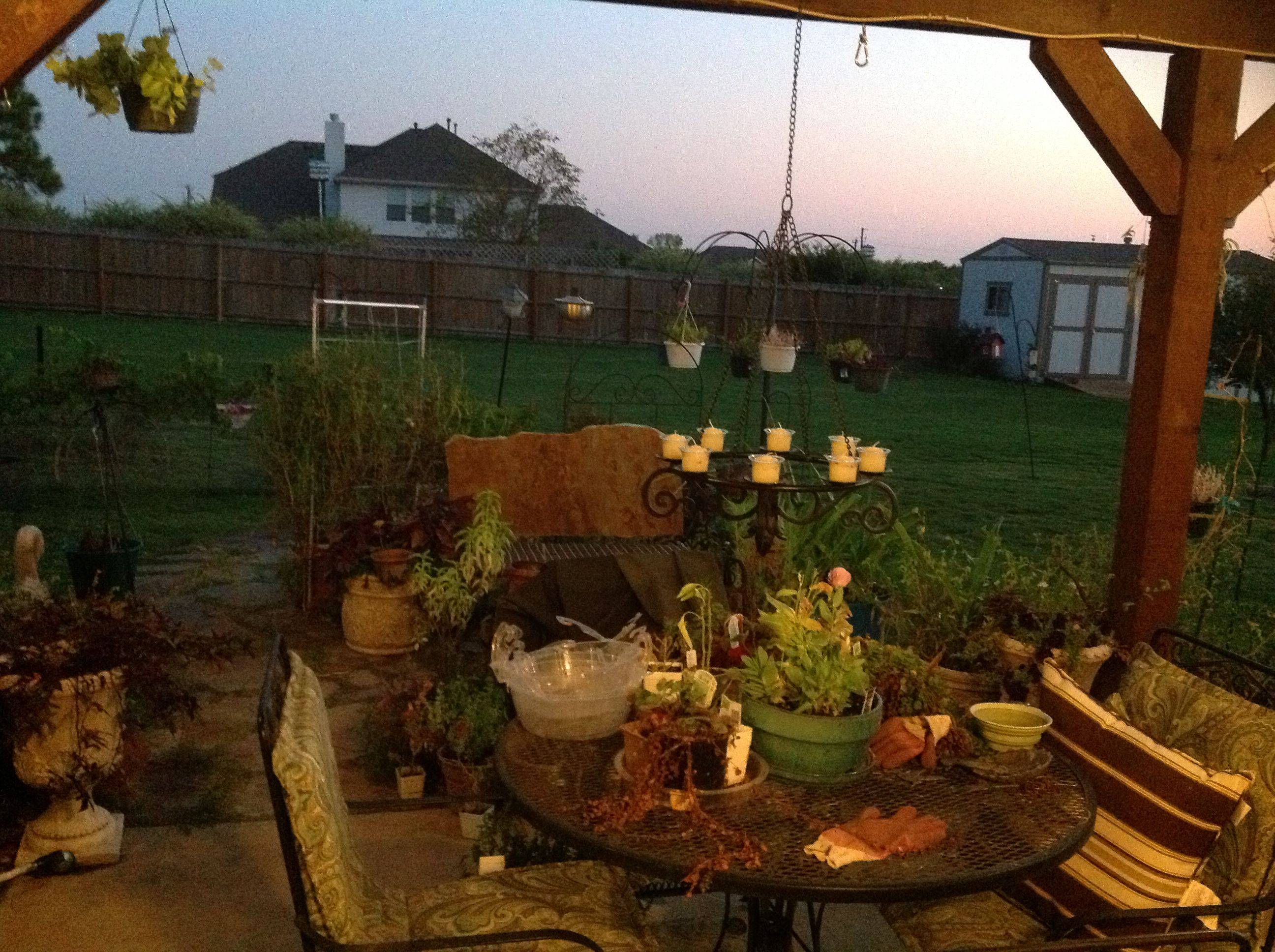 My Messy Potager Garden