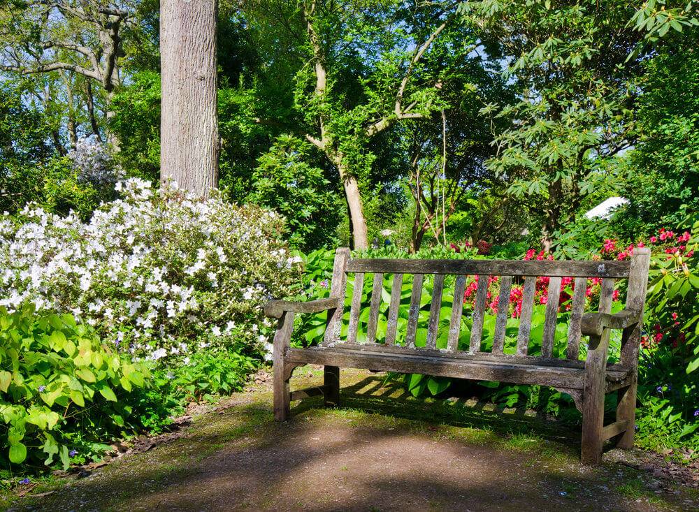 Georgia Bench Flower Garden