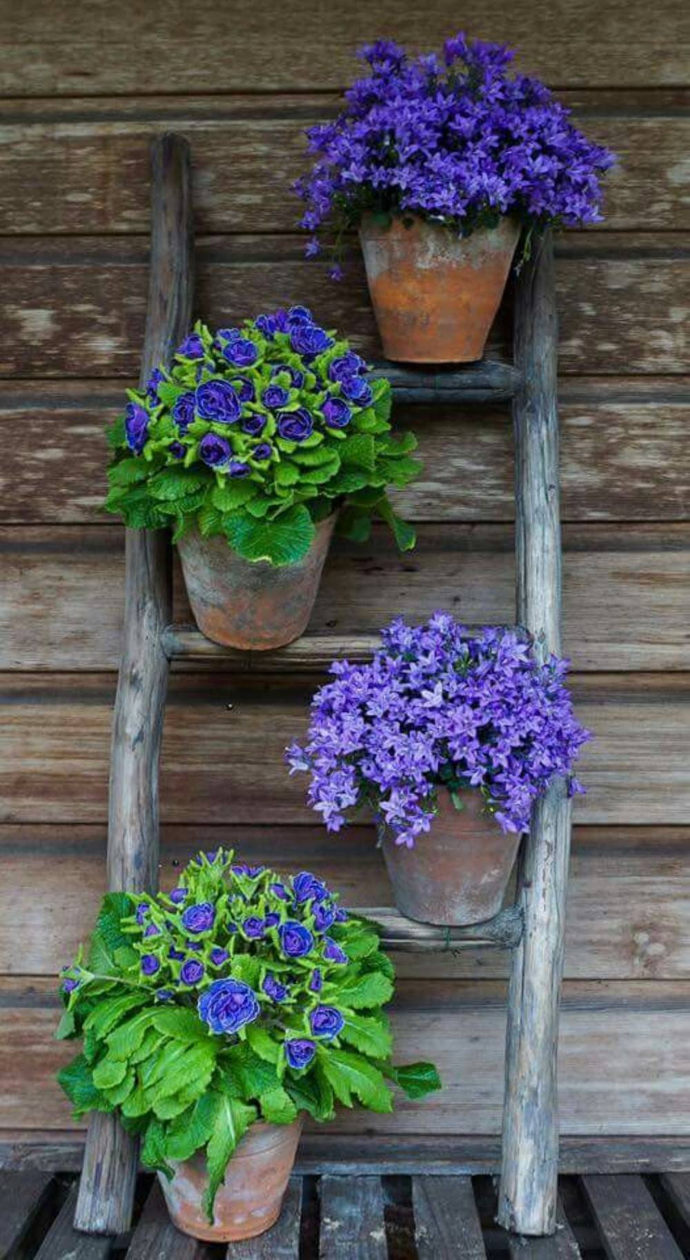 Fascinating Garden Planter Ideas