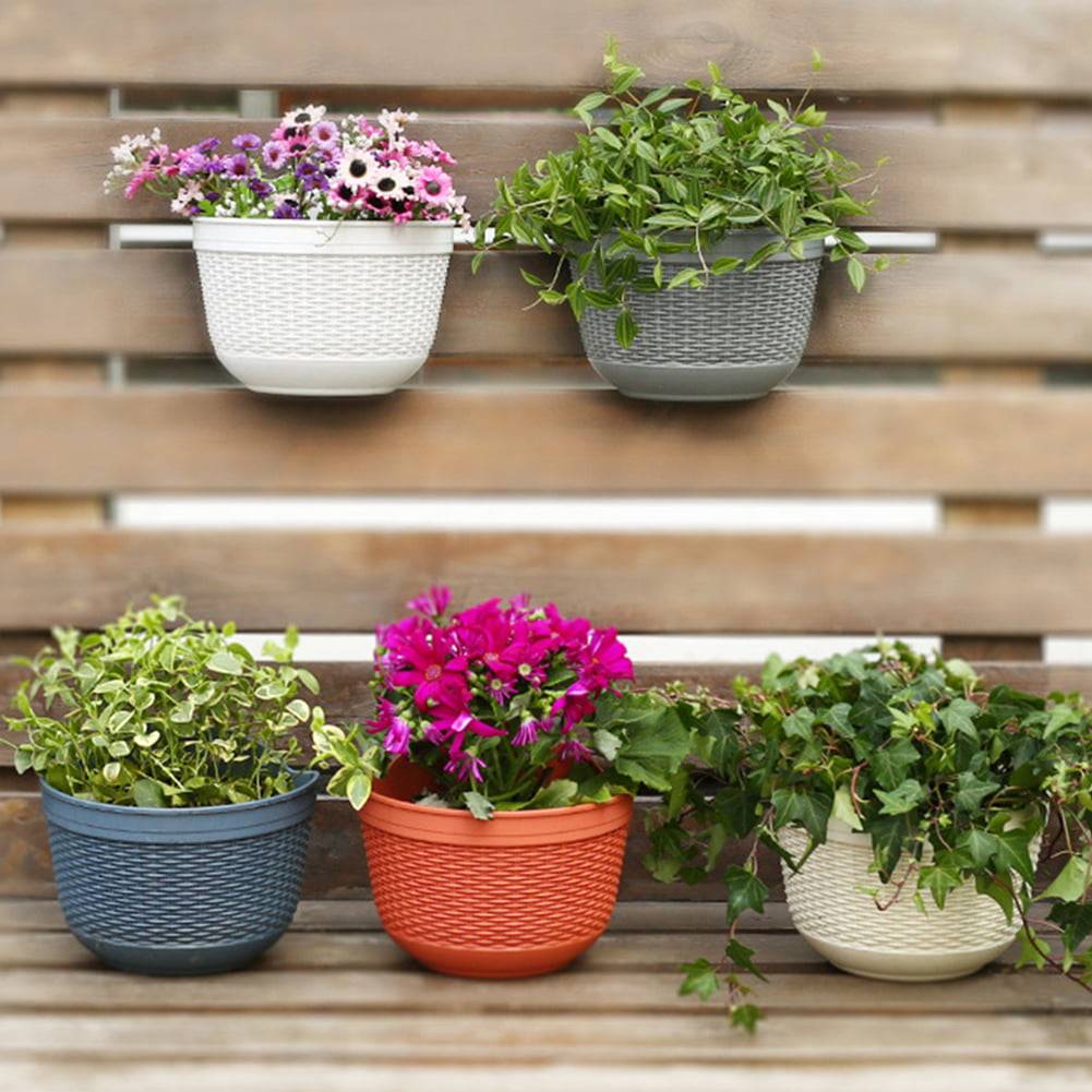 Summer Container Garden