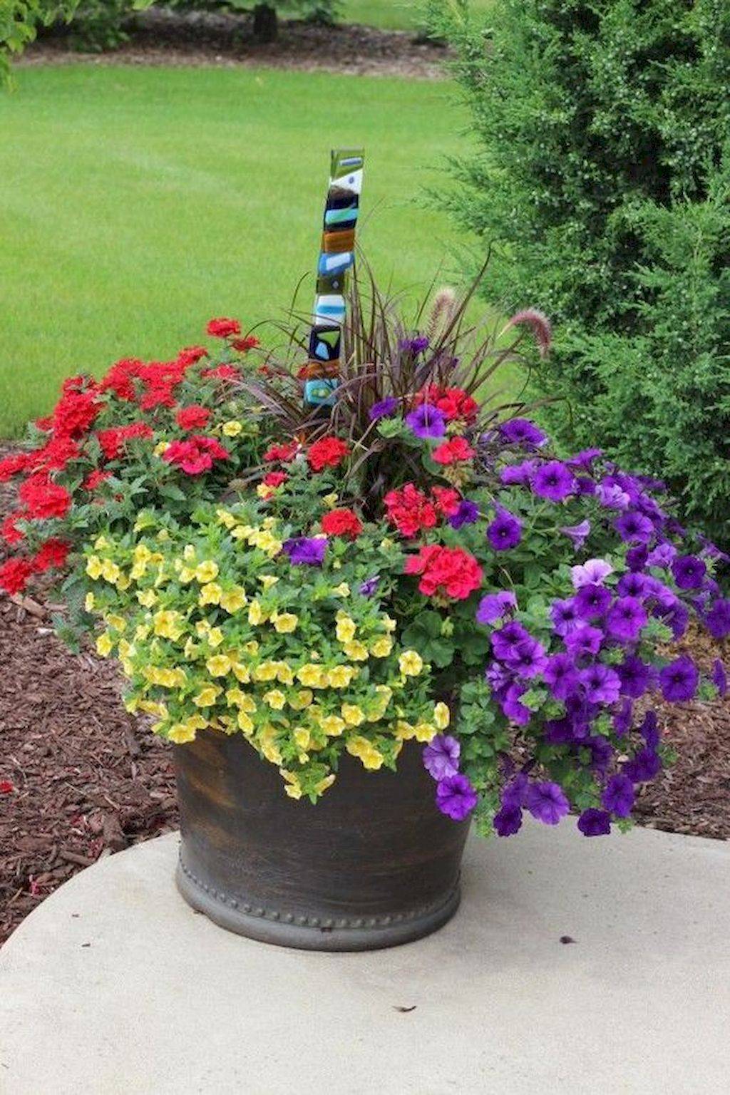 Most Beautiful Gardening Flowers Ideas