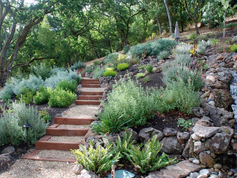 Amusing Front Yard Landscaping Drought Tolerant Xeriscaping
