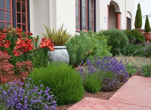 Drought Tolerant Butterfly Garden