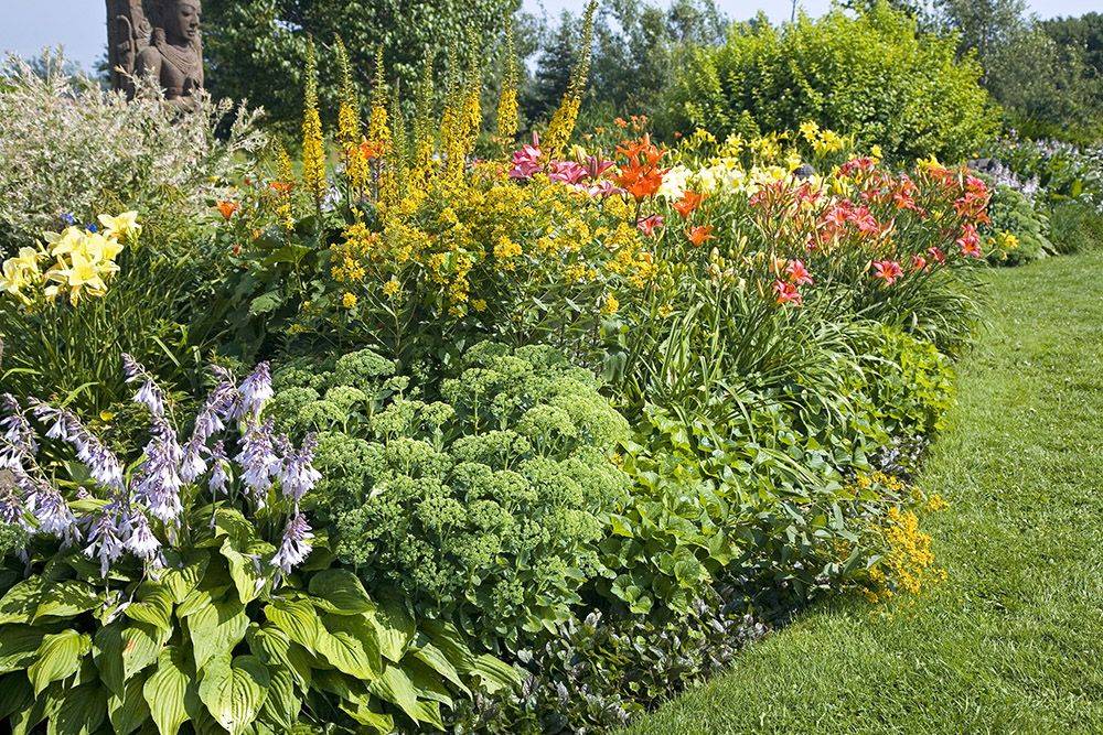 Drought Tolerant Deer Resistant Hillside Garden Inspiration