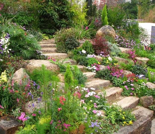 Droughttolerant Garden Design Voices