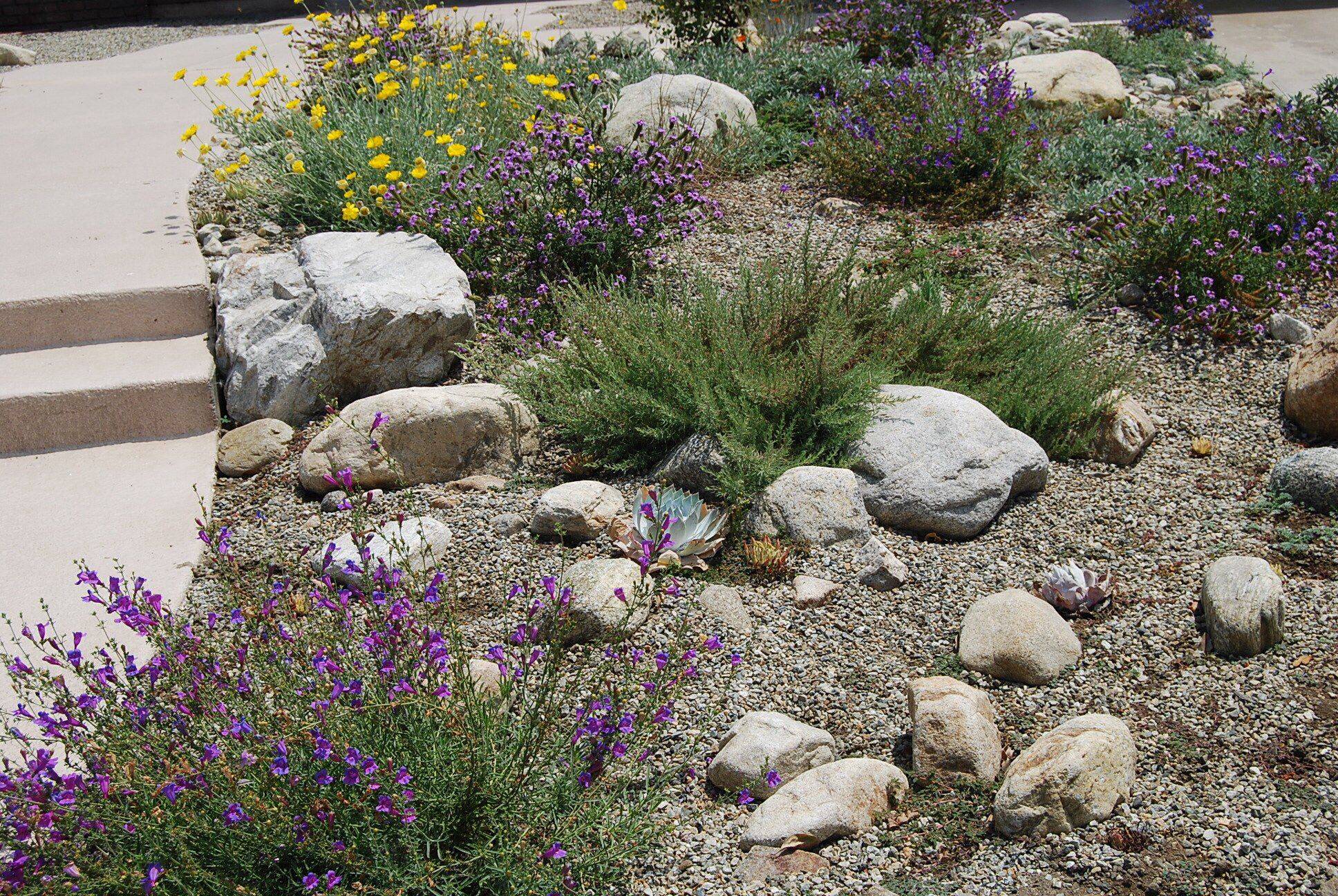 Drought Tolerant Gardening Ideas Waterfall Surrounded By Flowers