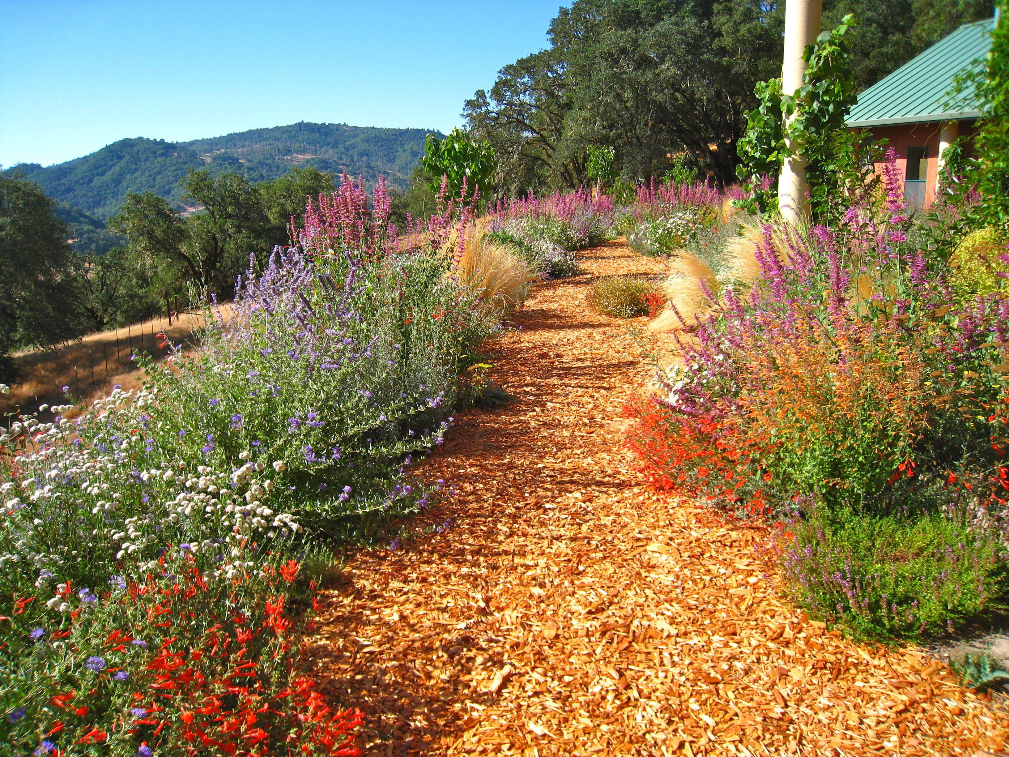 The Wests Best Gardens California Garden
