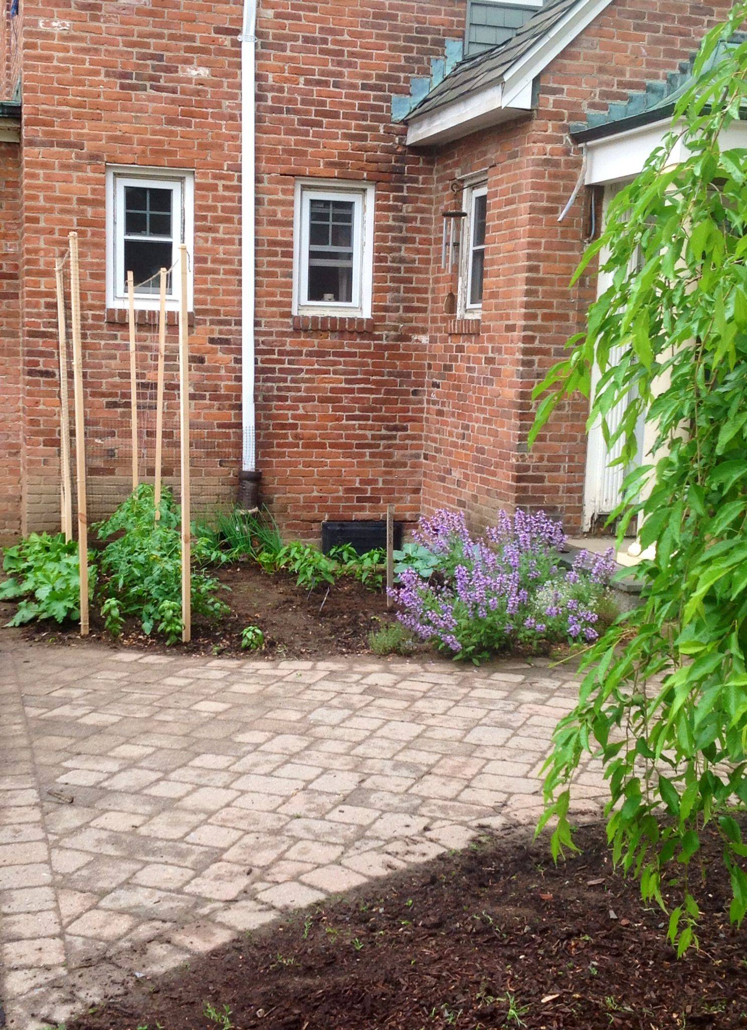 17 Front Porch Vegetable Garden Ideas Worth to Check SharonSable