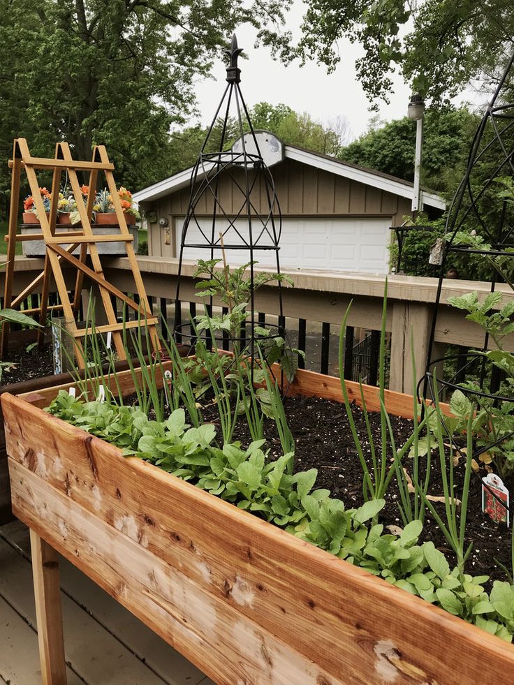 Landscape Patio Front Yard Concrete Garden Designs