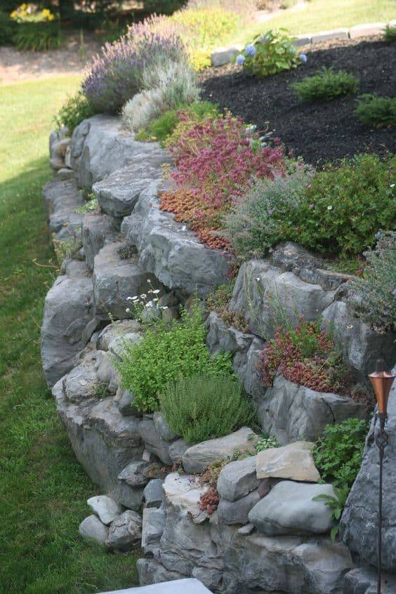 Backyard Rock Garden Ideas