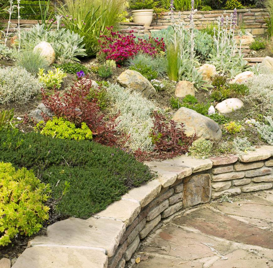 Genius Low Maintenance Rock Garden Design Ideas