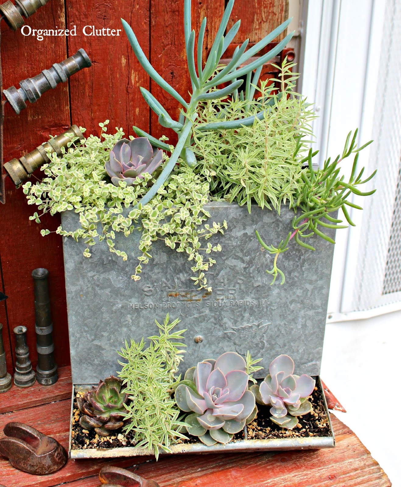 Diy Garden Projects