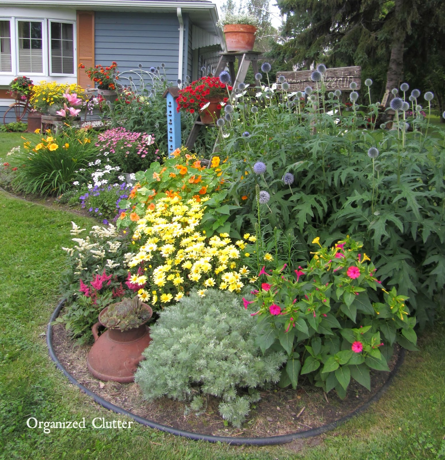 Garden Yard Ideas