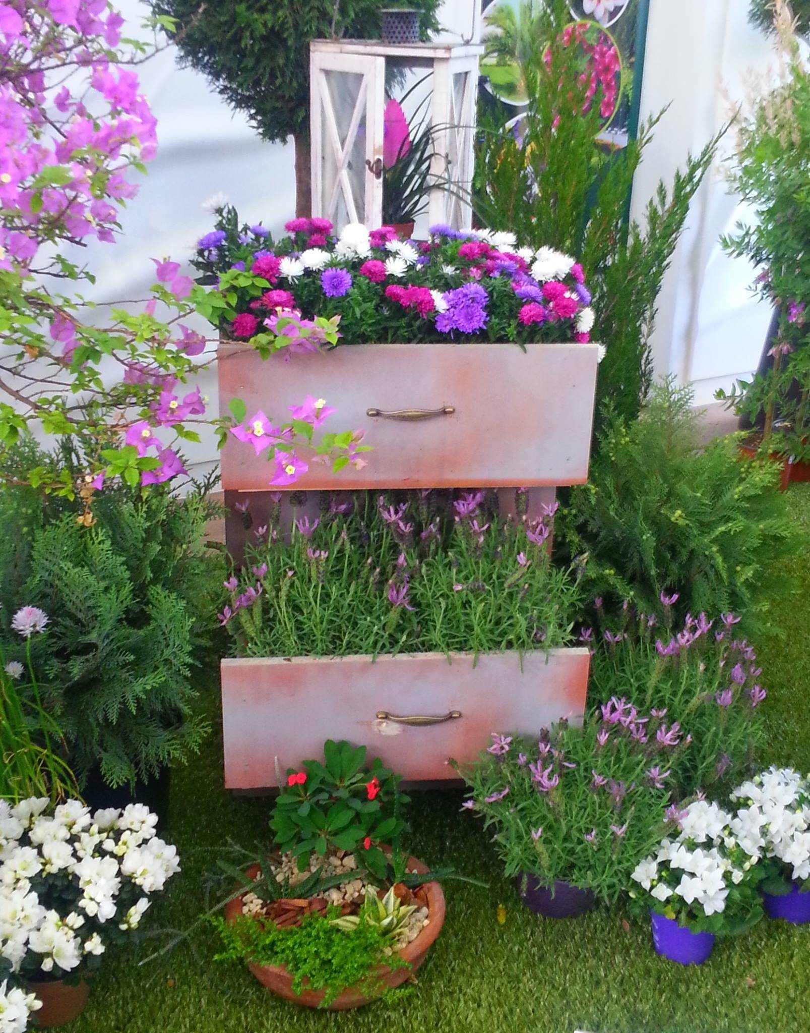 Flower Garden Plants