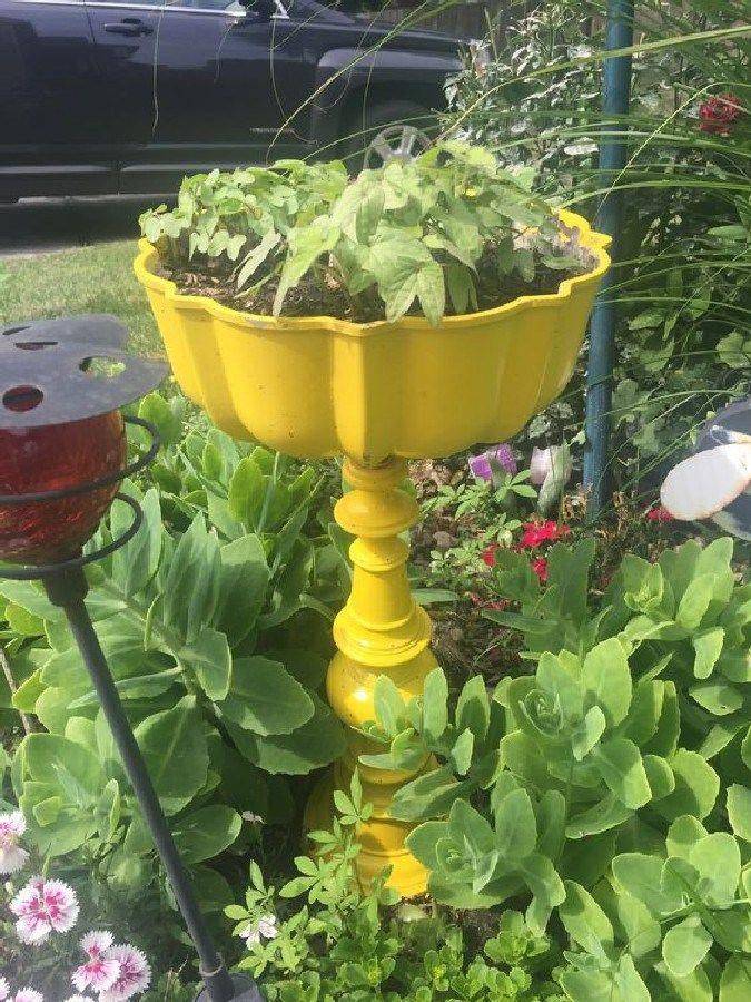 Most Brilliant Garden Junk Repurposed Ideas