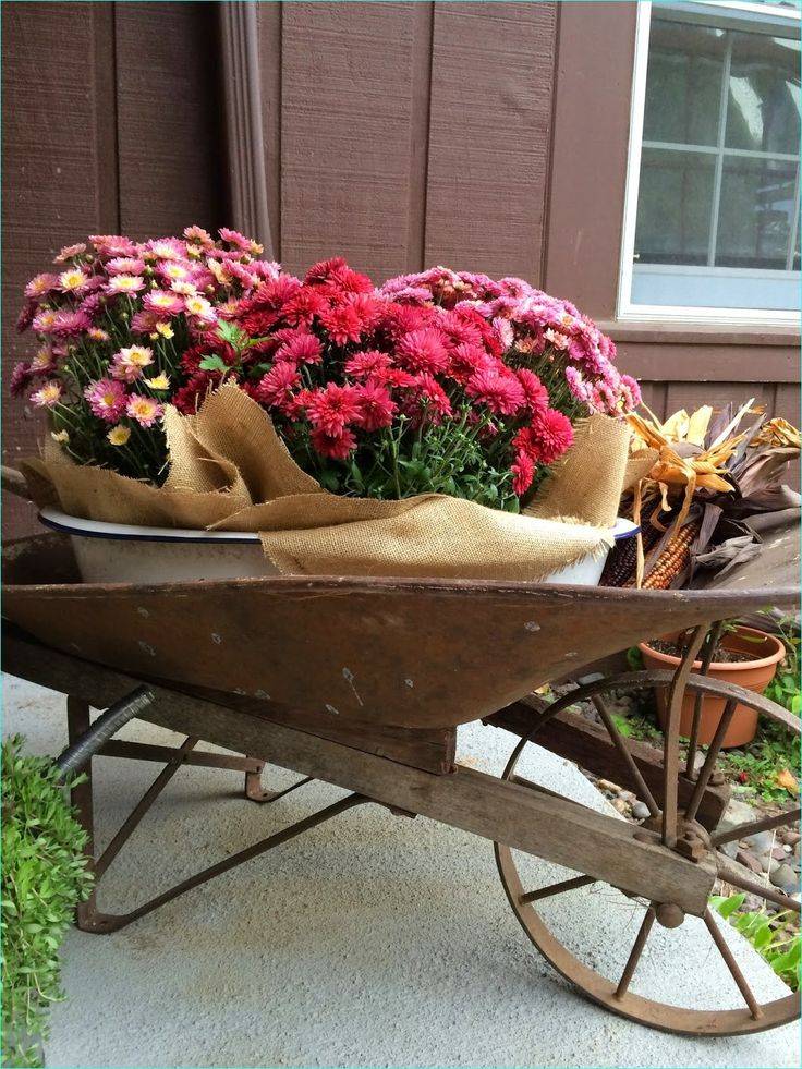 Decor Home Ideas
