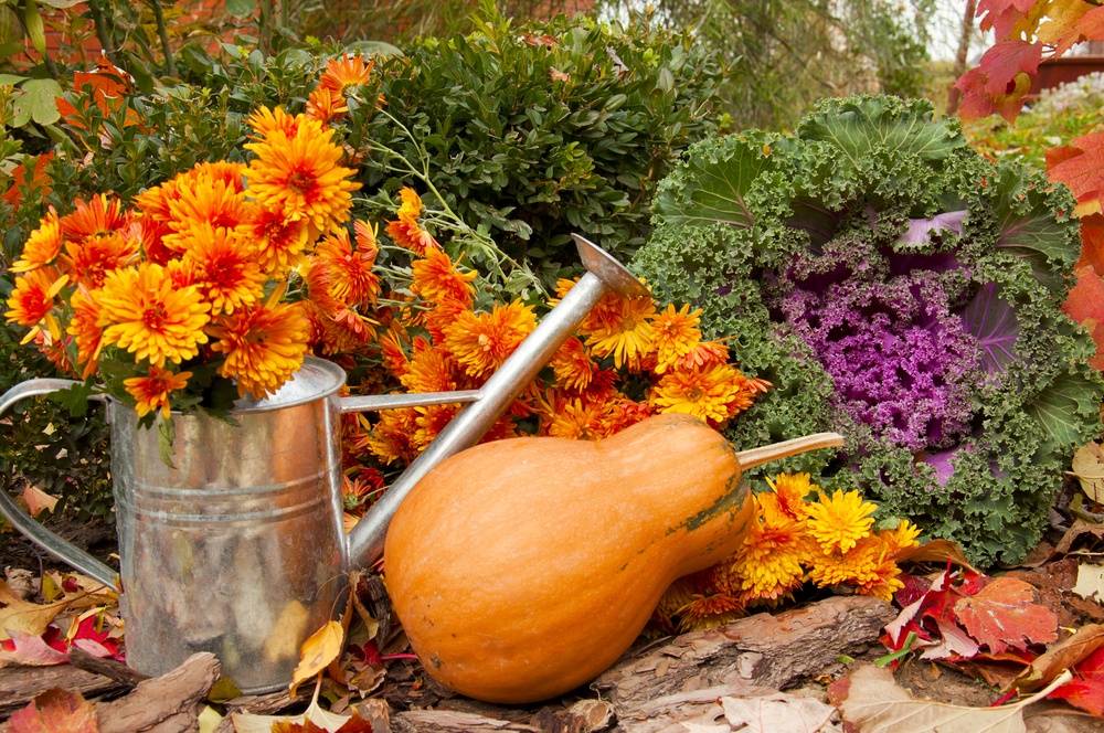 Gorgeous Fall Container Garden Ideas