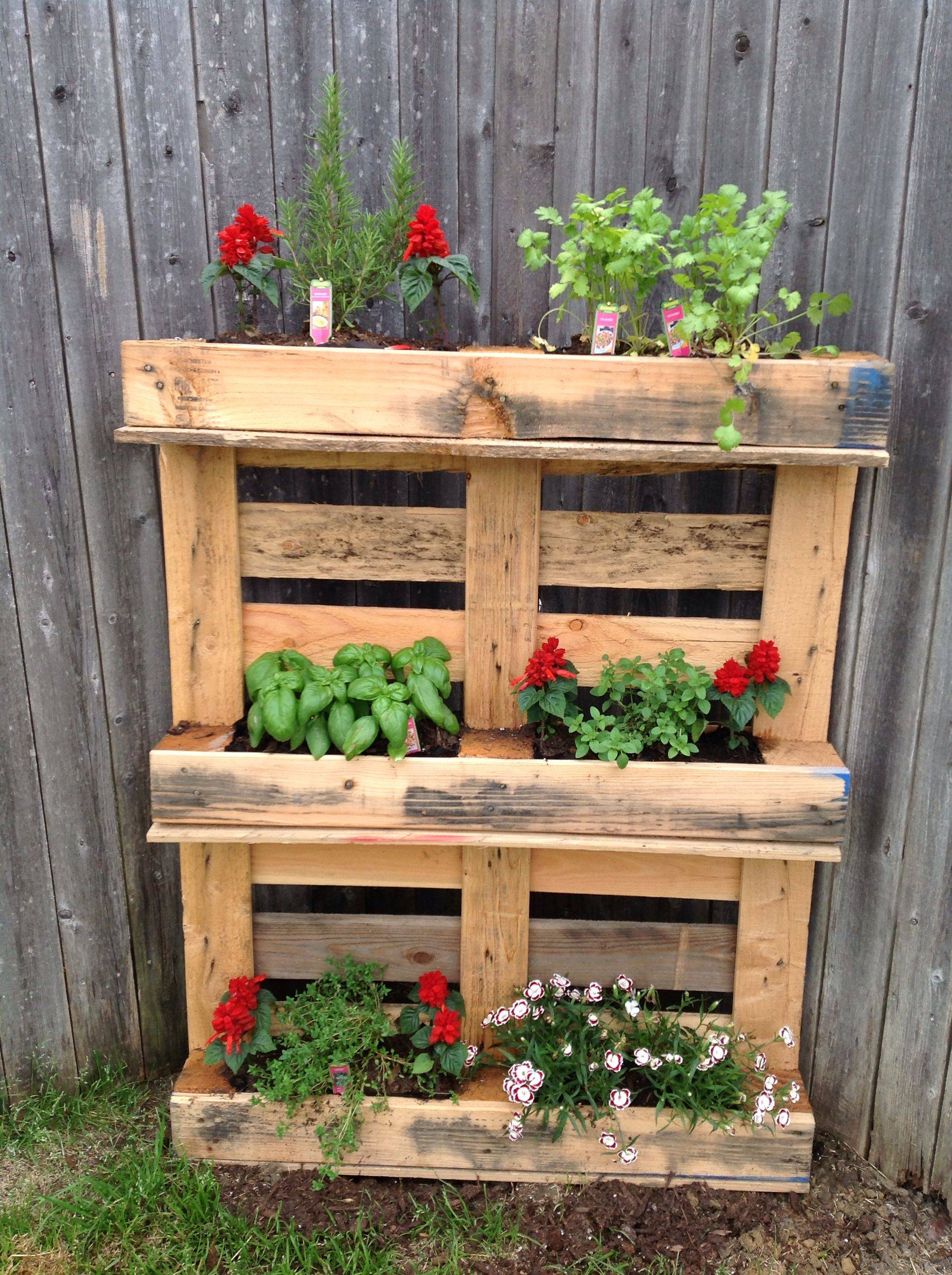 Amazing Herb Garden Ideas