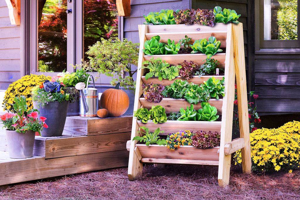 Backyard Garden Ideas