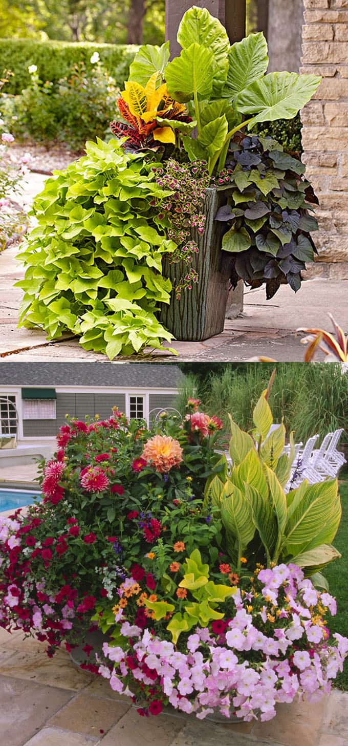Stunning Container Garden Planting Designs