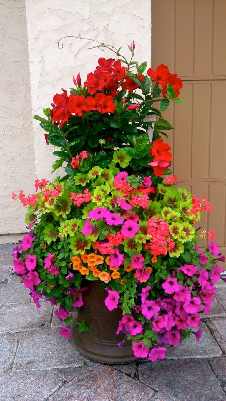 A Container Garden