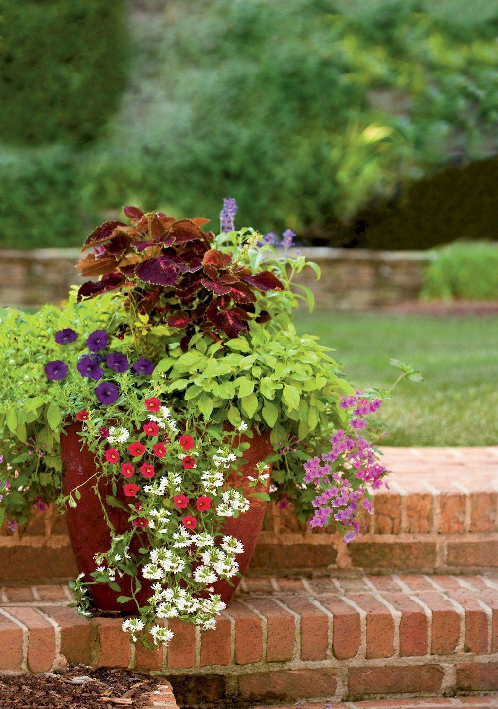 Chic Summer Container Garden Flower Ideas