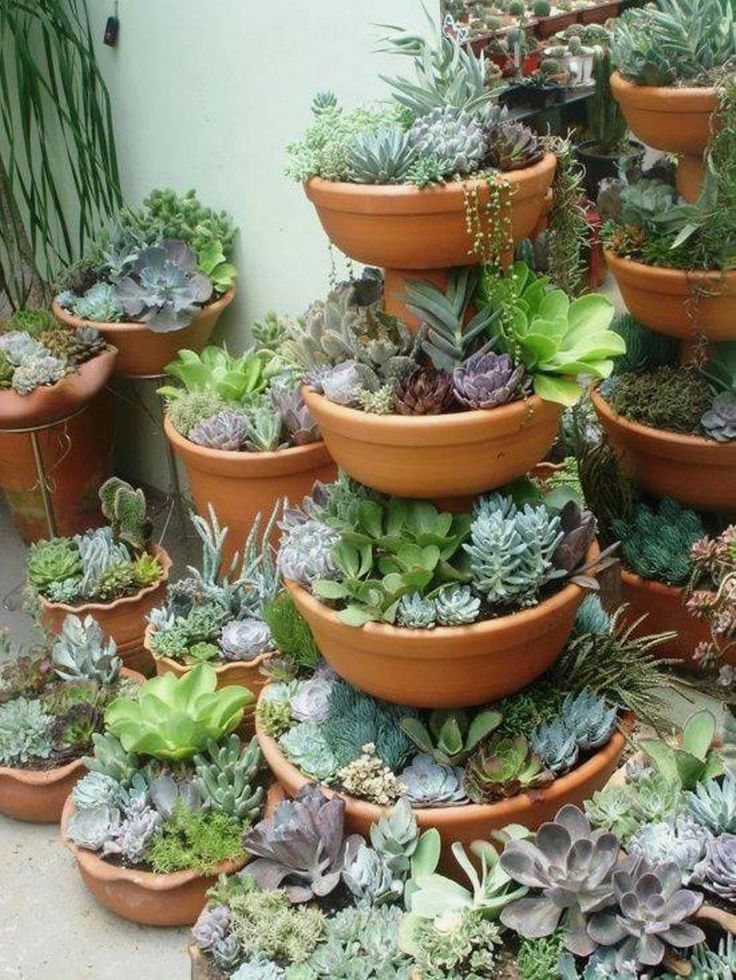 Awesome Container Garden