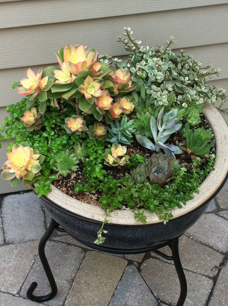 Awesome Container Garden