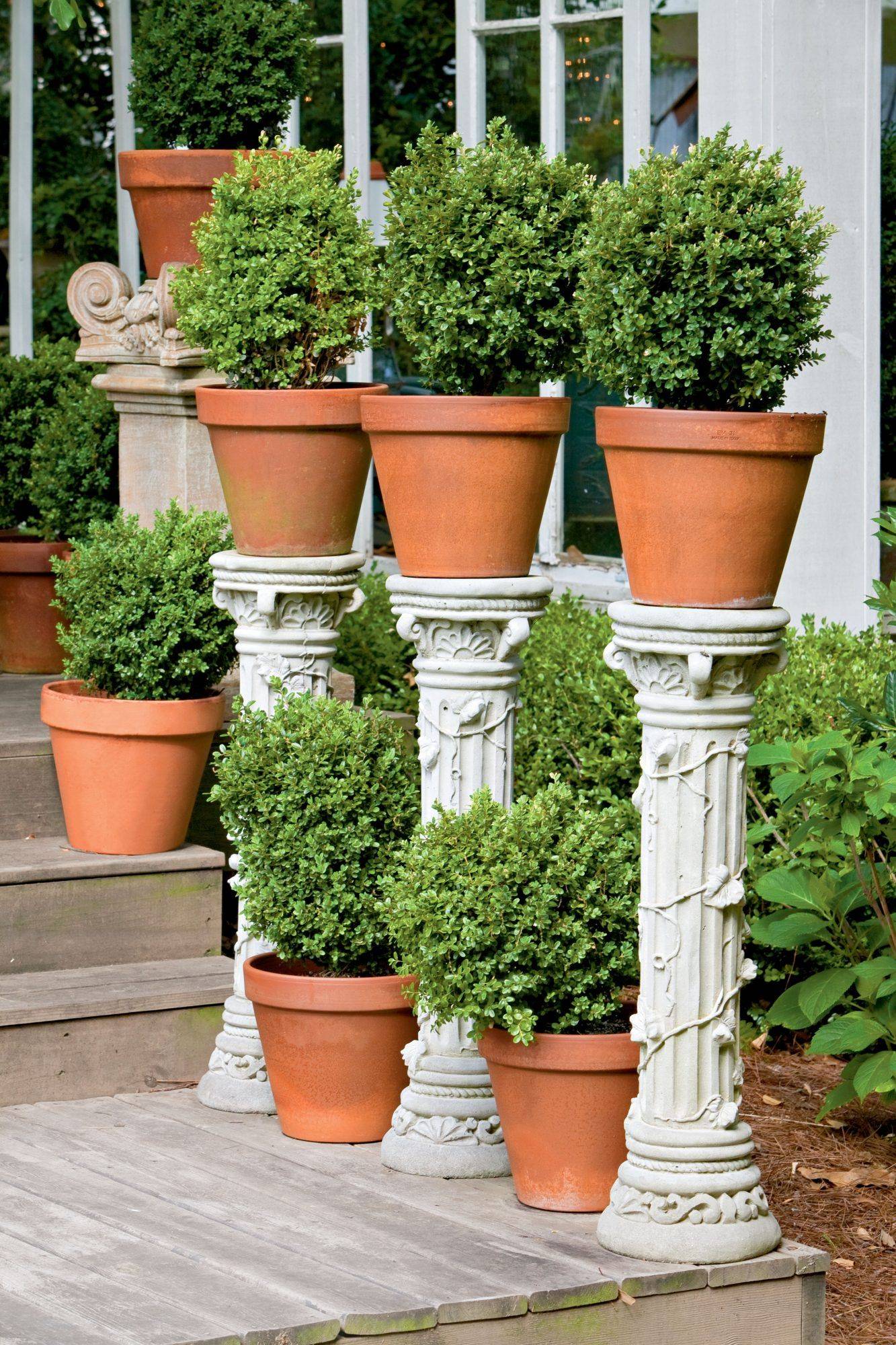 Healthy Beautiful Container Gardens