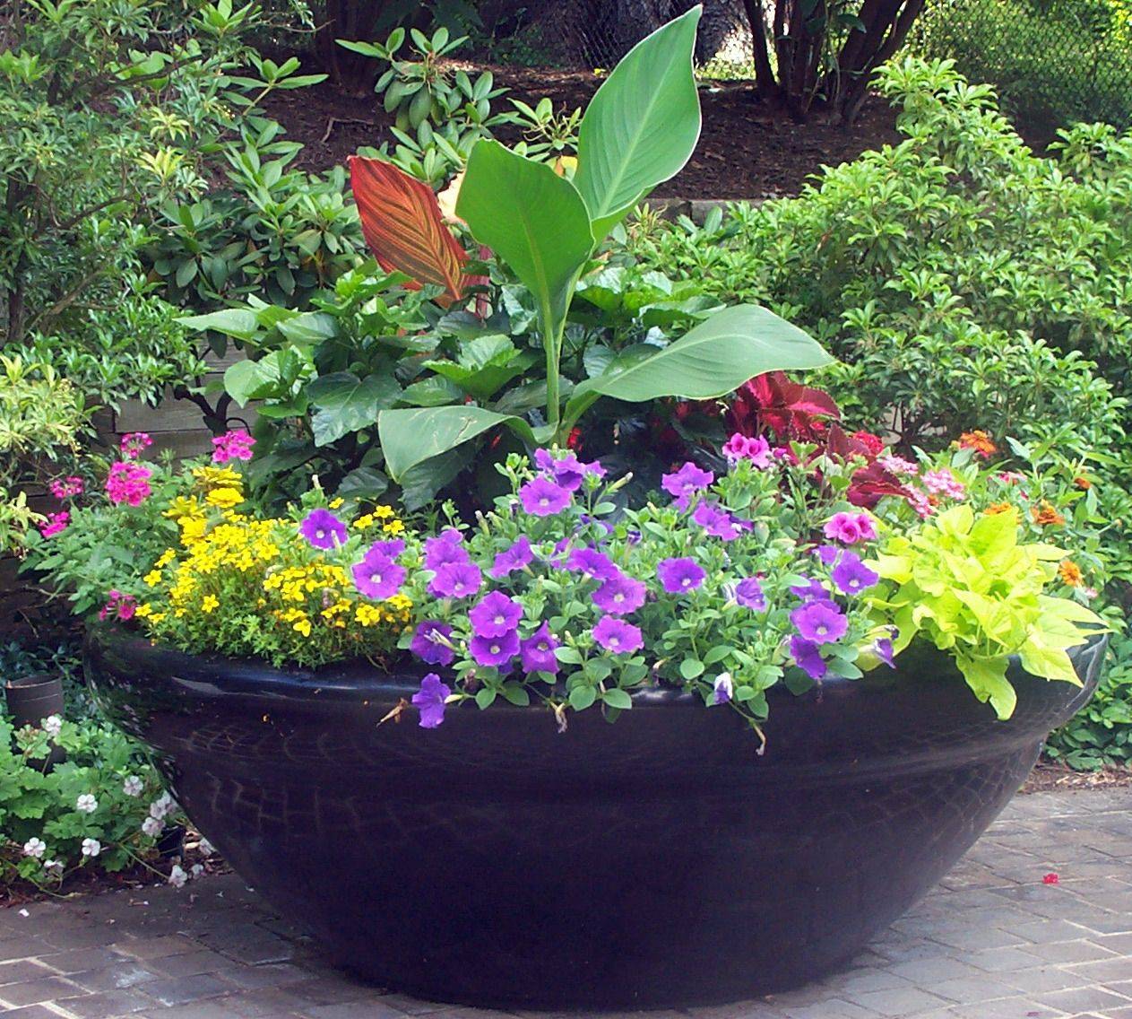 Container Garden Tips Kinds