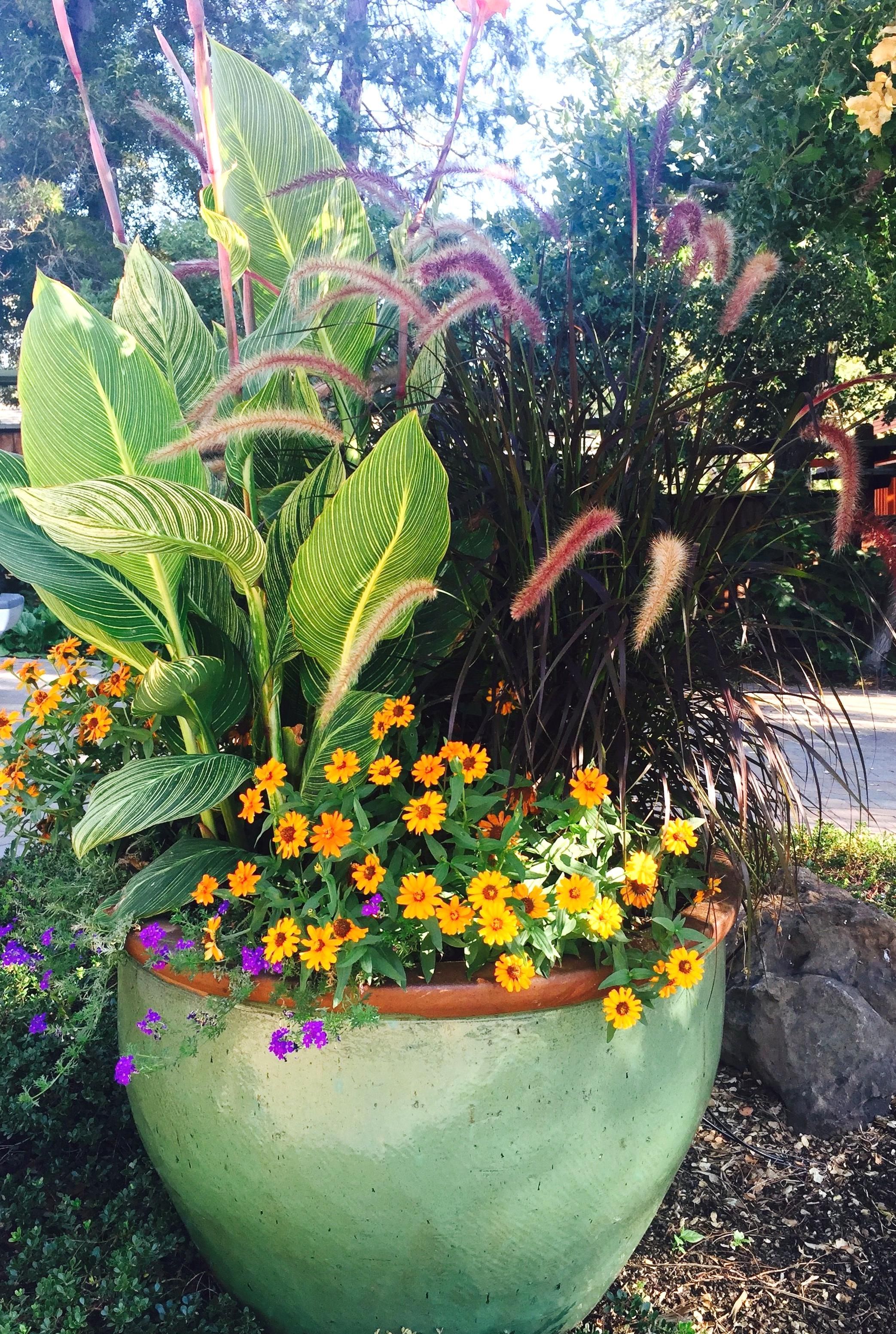 Beautiful Large Container Gardens