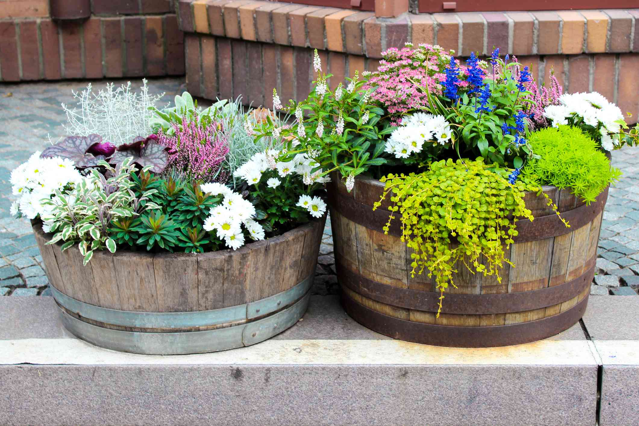 Container Gardening Planting Tips