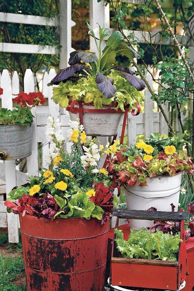 Cheap Container Vegetable Gardening Ideas